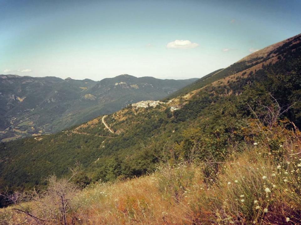 Le Dell'arco - Monte San Vito Holiday home Scheggino