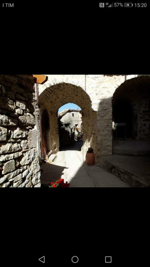 Le Dell'arco - Monte San Vito * Scheggino