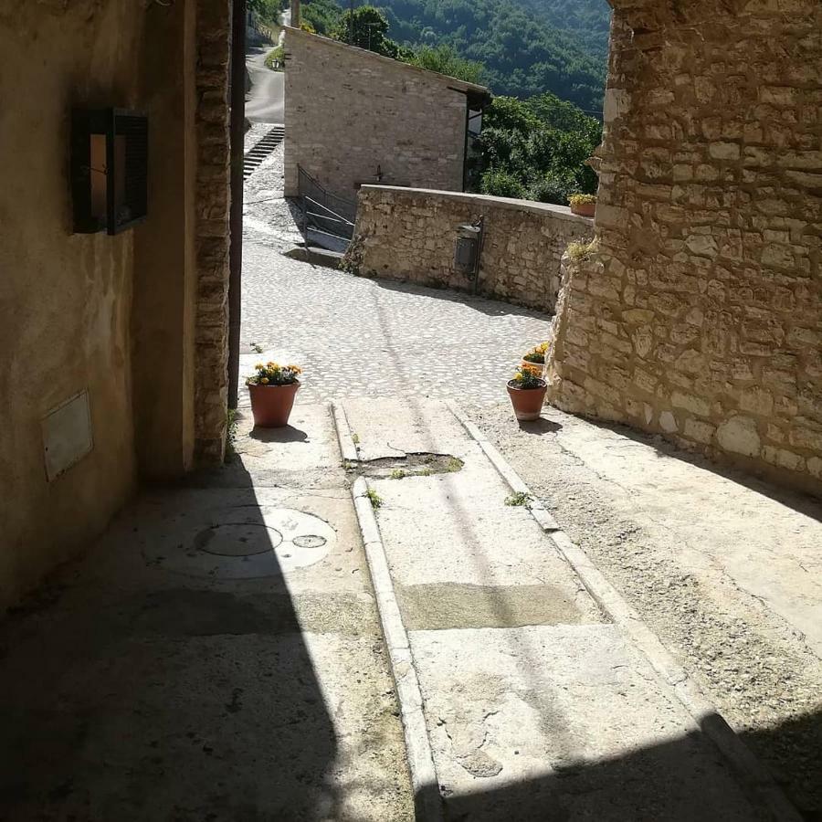 Le Dell'arco - Monte San Vito Holiday home