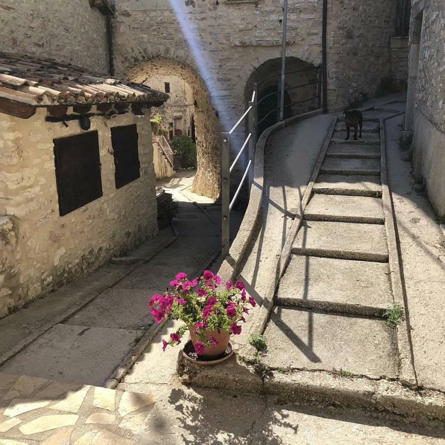 Le Dell'arco - Monte San Vito Holiday home Scheggino